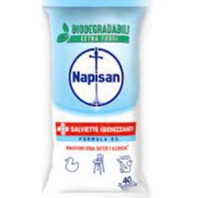 NAPISAN SALVIETTE IGIENIZZANTI FORMULA O X 40