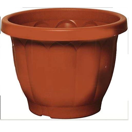 BRONZO VASO DORICO D 15